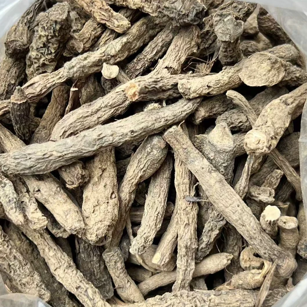 云南深山好物-仙人的茅.参