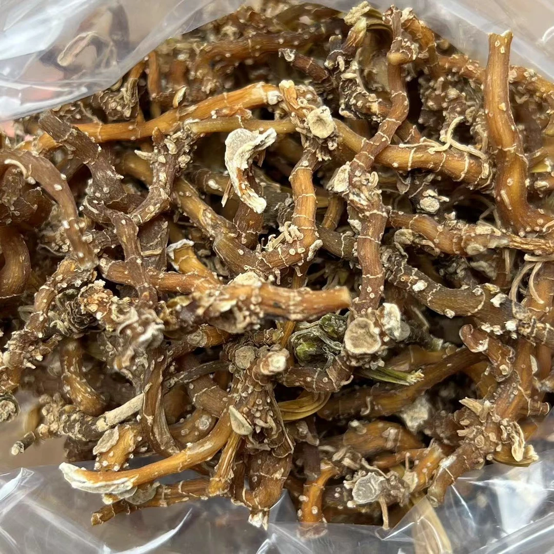 云南深山好物-野生玉竹