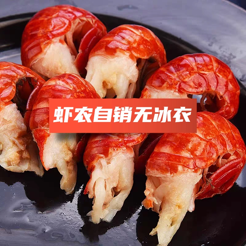 【虾农自销】无冰衣龙虾尾 大一级 鲜活去头 急冻冷链优质鲜嫩发货