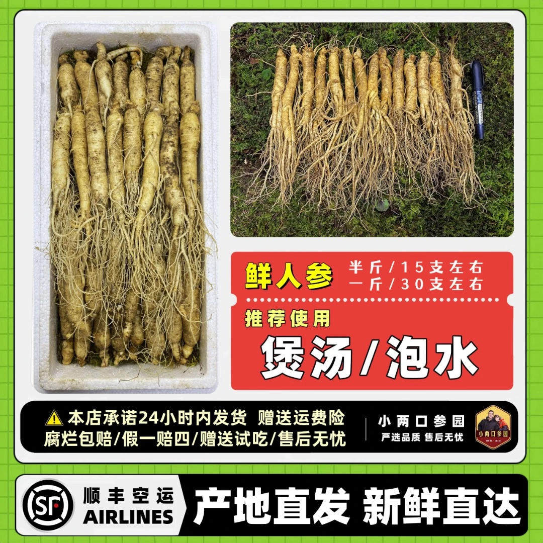 【煲汤小号】长白山产地新鲜人参煲汤滋补佳品特产