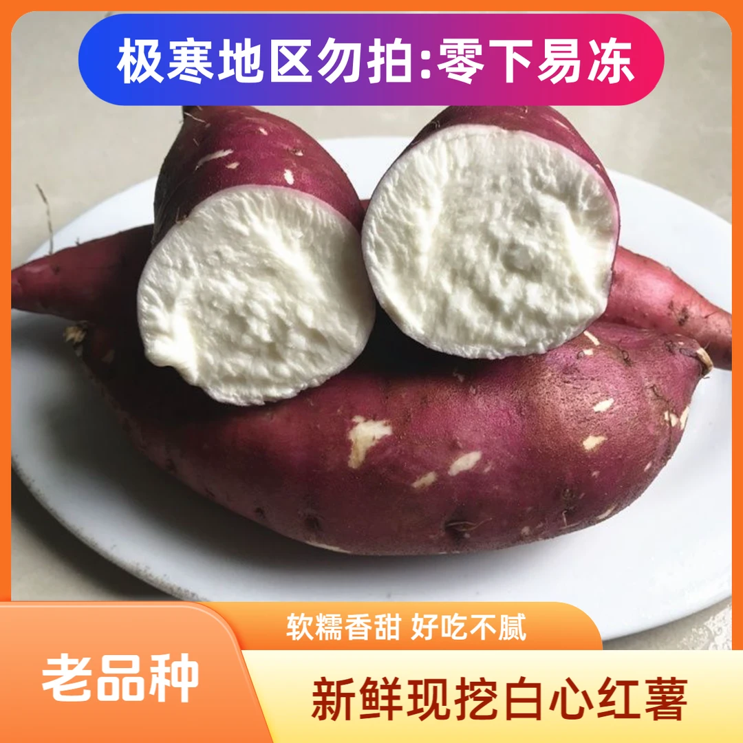 特惠5斤装新鲜现挖老品种白心红薯 红皮白薯板栗红薯软糯香甜番薯