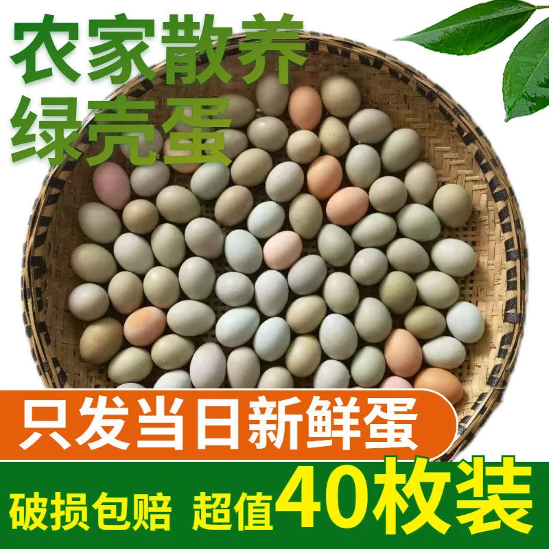 逸流湖北生态农家散养粉壳绿壳蛋土鸡蛋粉绿壳组合装