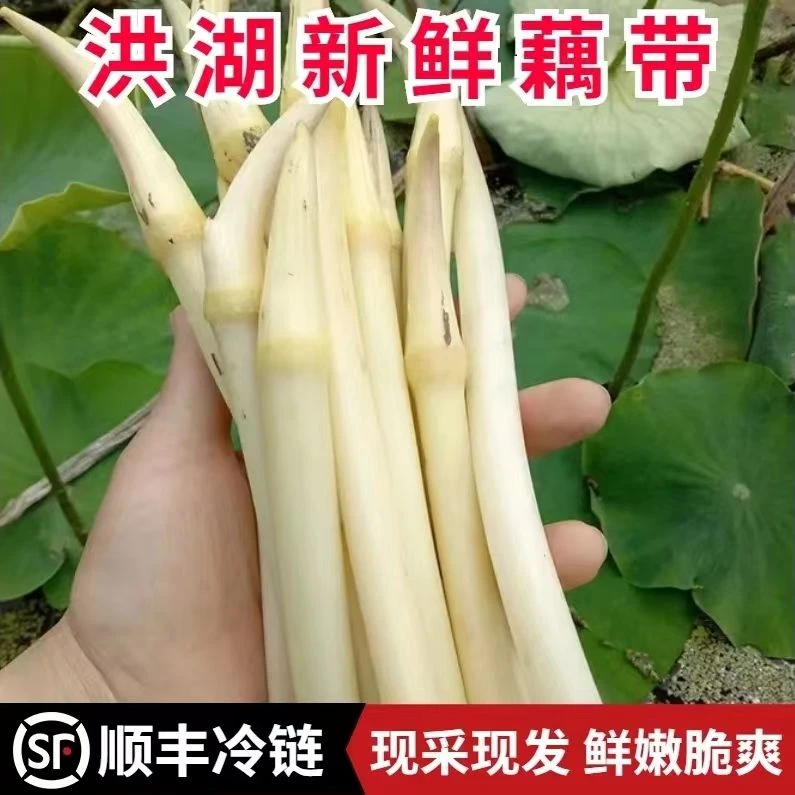 【顺丰包邮】洪湖新鲜藕带时令水生蔬菜鲜嫩