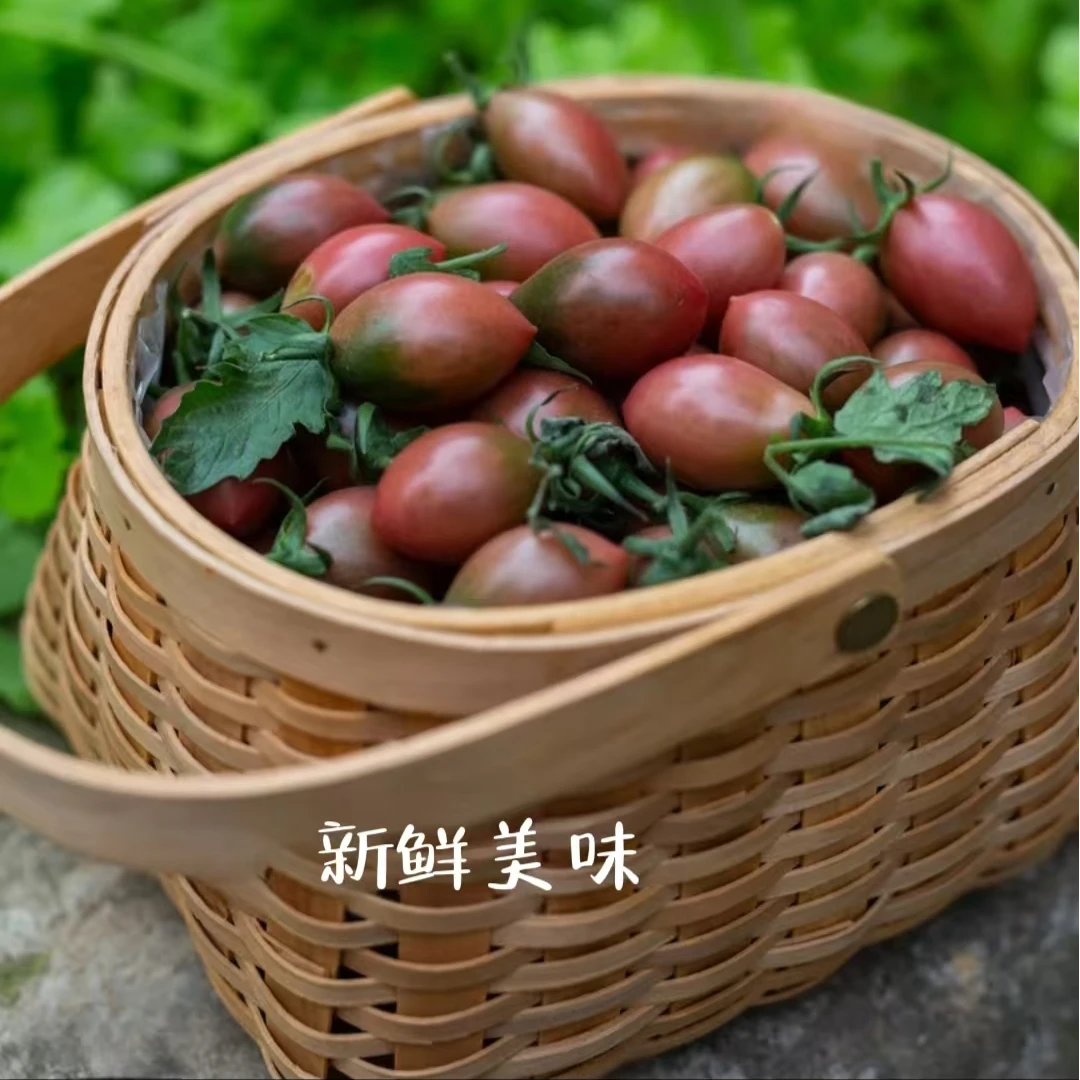 【精品】紫弹头小番茄圣女果新鲜樱桃西红柿孕妇水果小紫弹头小番茄