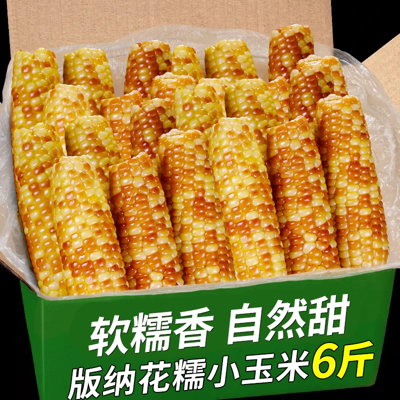 滇二娃西双版纳香糯小玉米新鲜即食黏嫩甜糯玉米棒代餐速食早餐