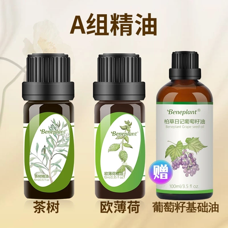 【方老师专属】柏草日记茶树+欧薄荷+基础油行走的森林单方精油