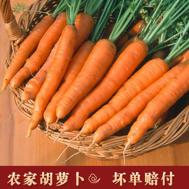 湘西农家老品种胡萝卜脆甜红萝卜宝宝辅食脆嫩生吃榨汁新鲜时令