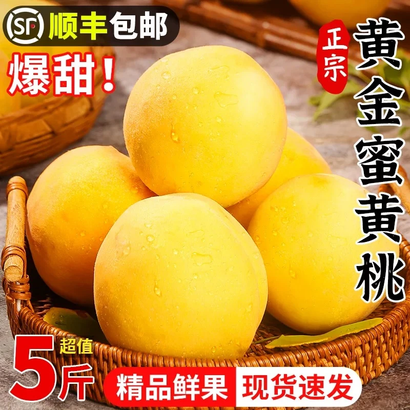 顺丰现货速发正宗安阳锦绣大黄桃子新鲜水果脆甜孕妇应季整箱礼盒