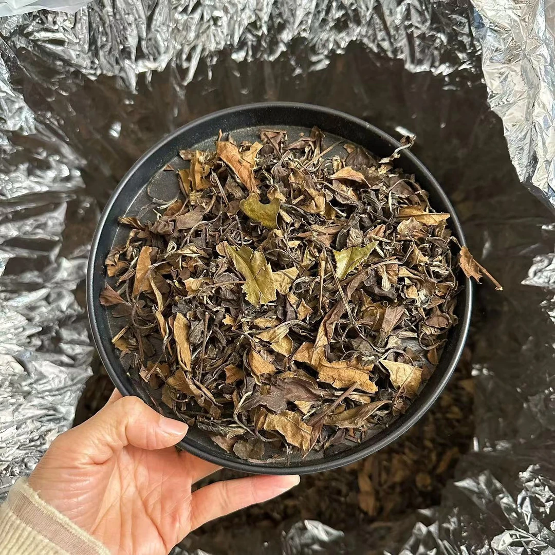 【干茶偏碎介意慎拍】2011年高山传统老寿眉 茶气足 冰糖甜 枣药香