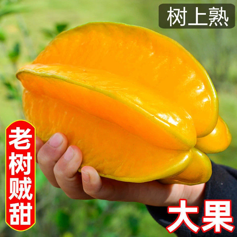 「送酸梅粉」广东杨桃果园采摘新鲜应季水果产地包邮清甜多汁皮薄