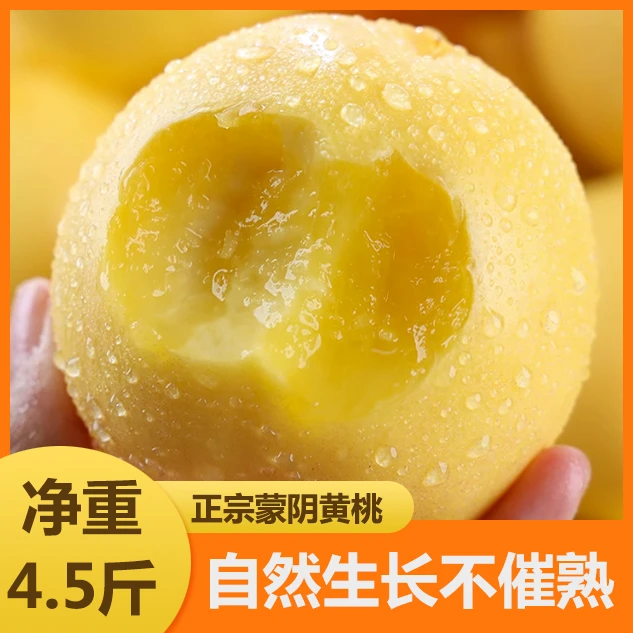【坏果包赔】正宗山东蒙阴黄金油桃当季新鲜 软硬两吃 无毛多汁清甜