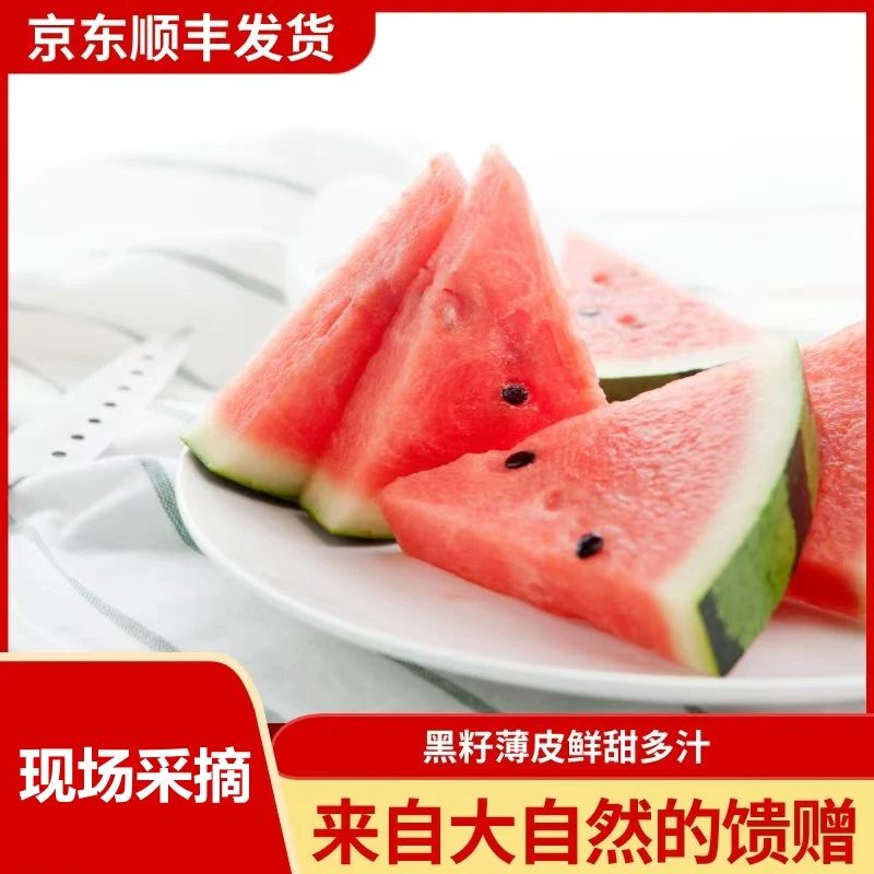 【瓜哥专属】8424西瓜现摘现发皮薄汁多鲜甜多汁