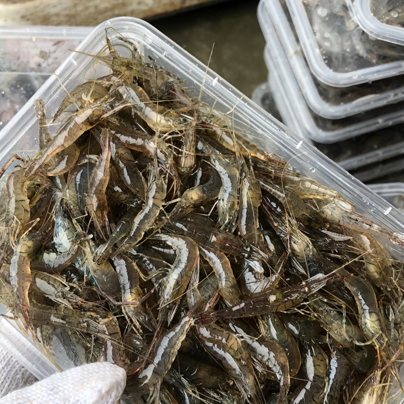 冷冻小河虾 约400g/袋