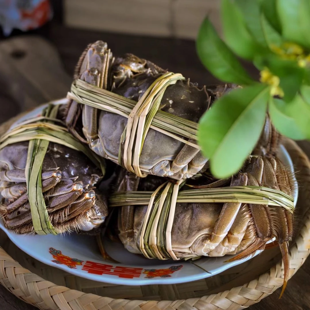 鲜活 江苏大闸蟹河蟹 （母蟹）