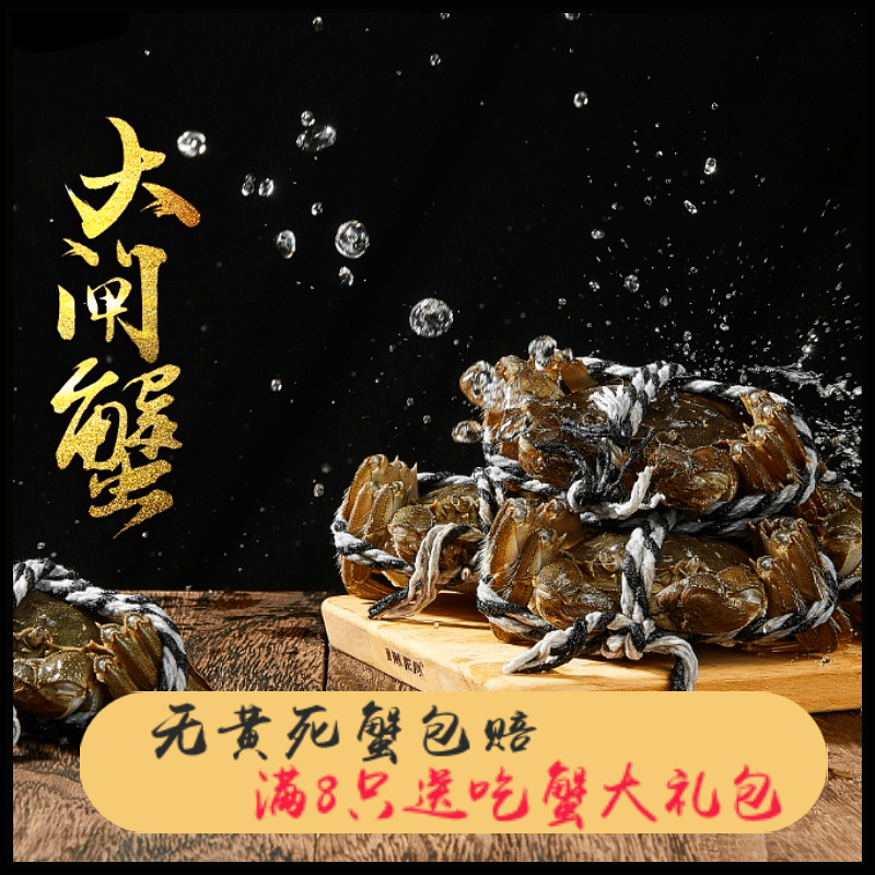 鲜活 江苏大闸蟹 母蟹