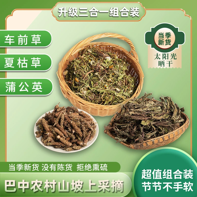 四川巴中农村坡上采摘的车前草夏枯草蒲公英泡水煮水煮鸡蛋