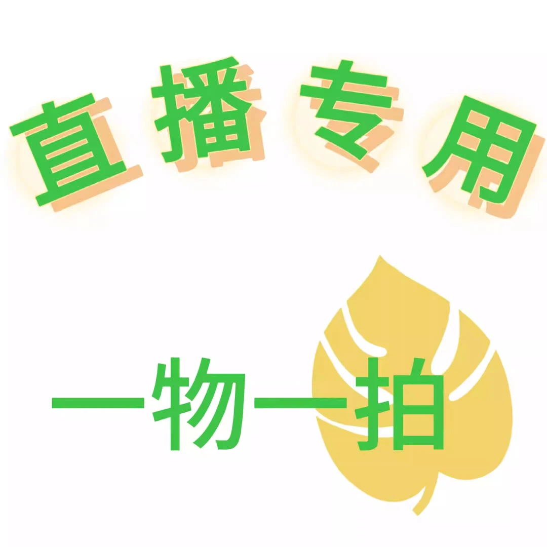 砖石盆绿植盆栽物一物一拍一物一选类各种品种