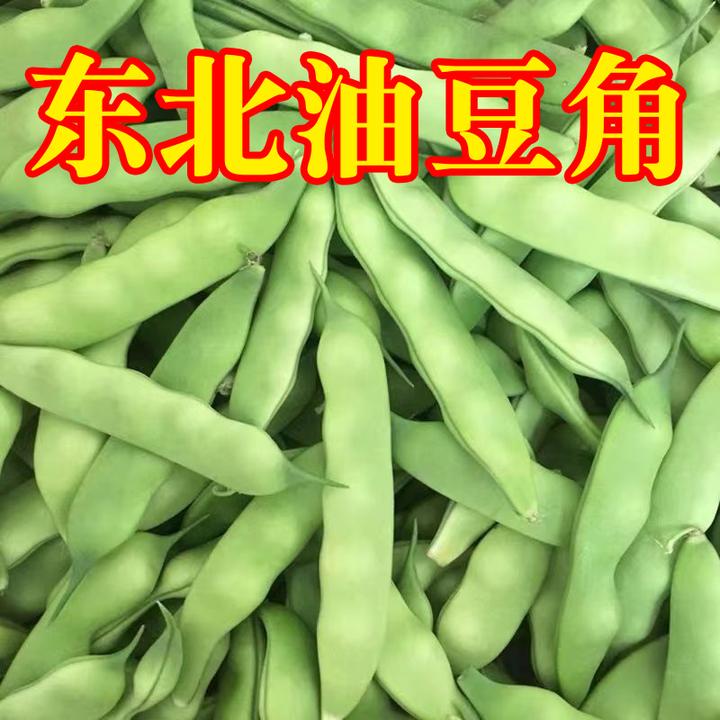 东北特产冒泡油豆角新鲜蔬菜农家菜黑土地种植纯绿色芸豆农产品