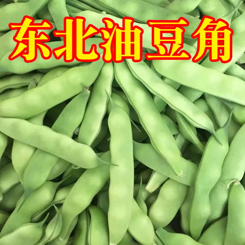 东北特产冒泡油豆角新鲜蔬菜农家菜黑土地种植纯绿色芸豆农产品