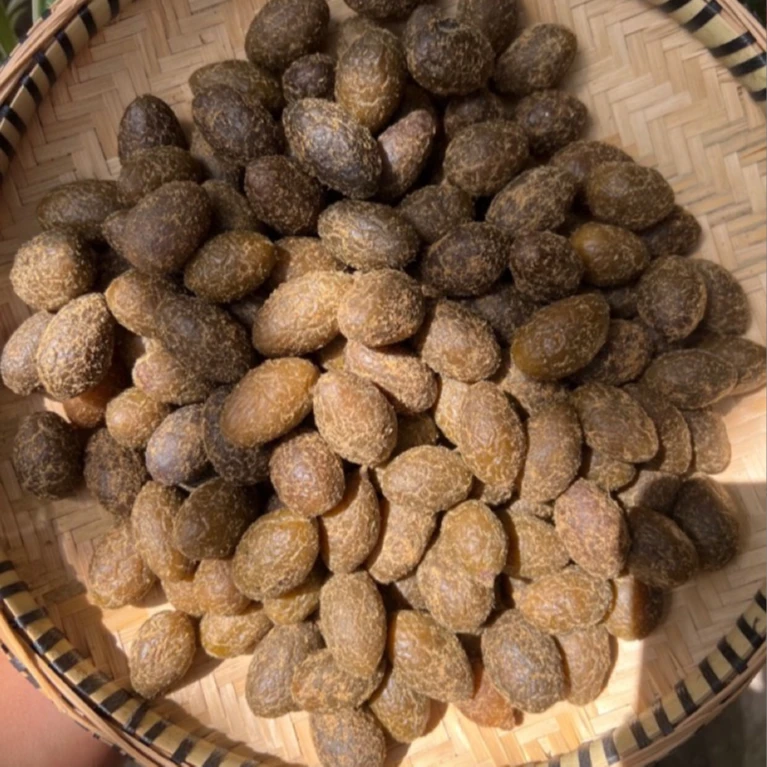 农家大山深处 甘草橄榄