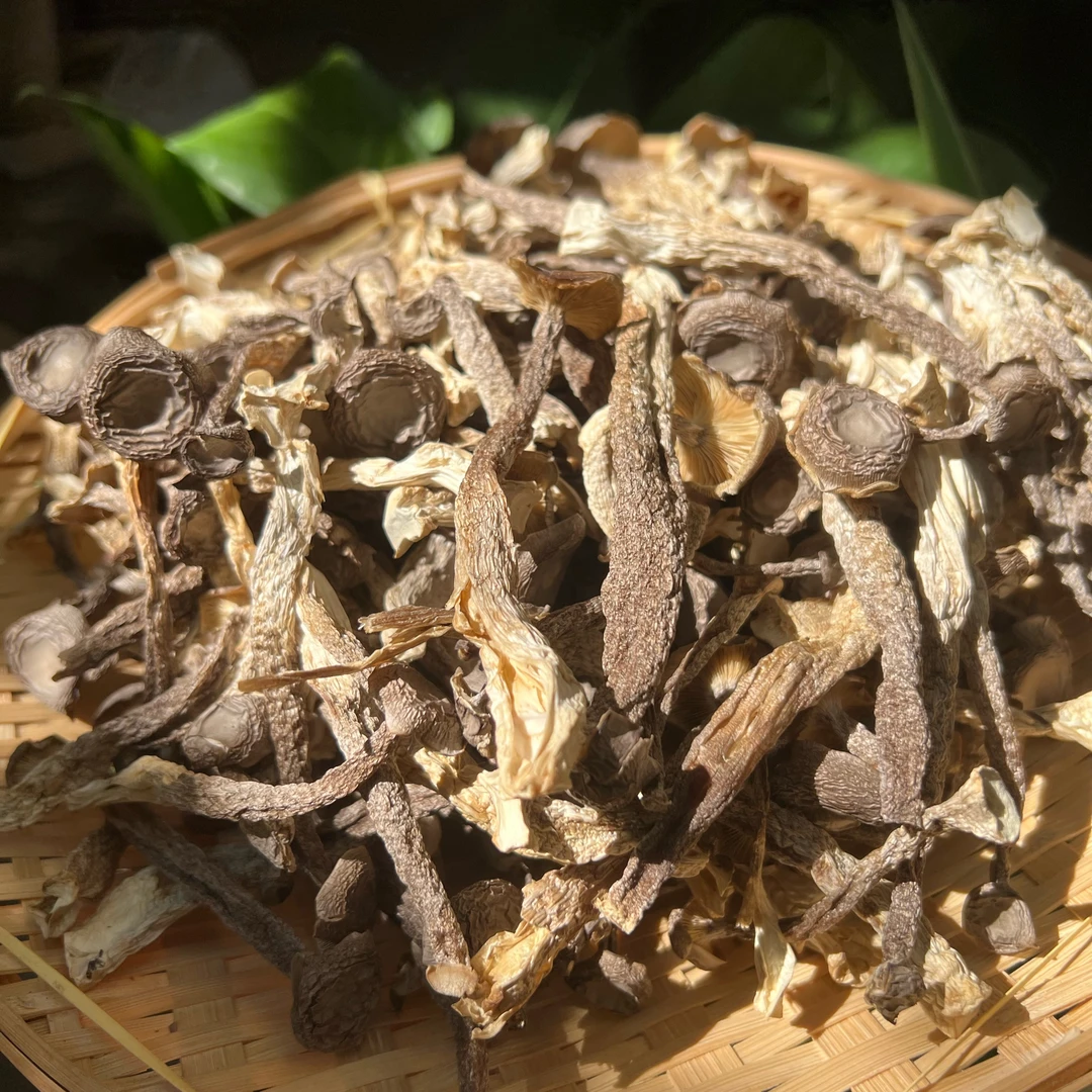 农家特产 高山脆脆菇 鹿茸菇