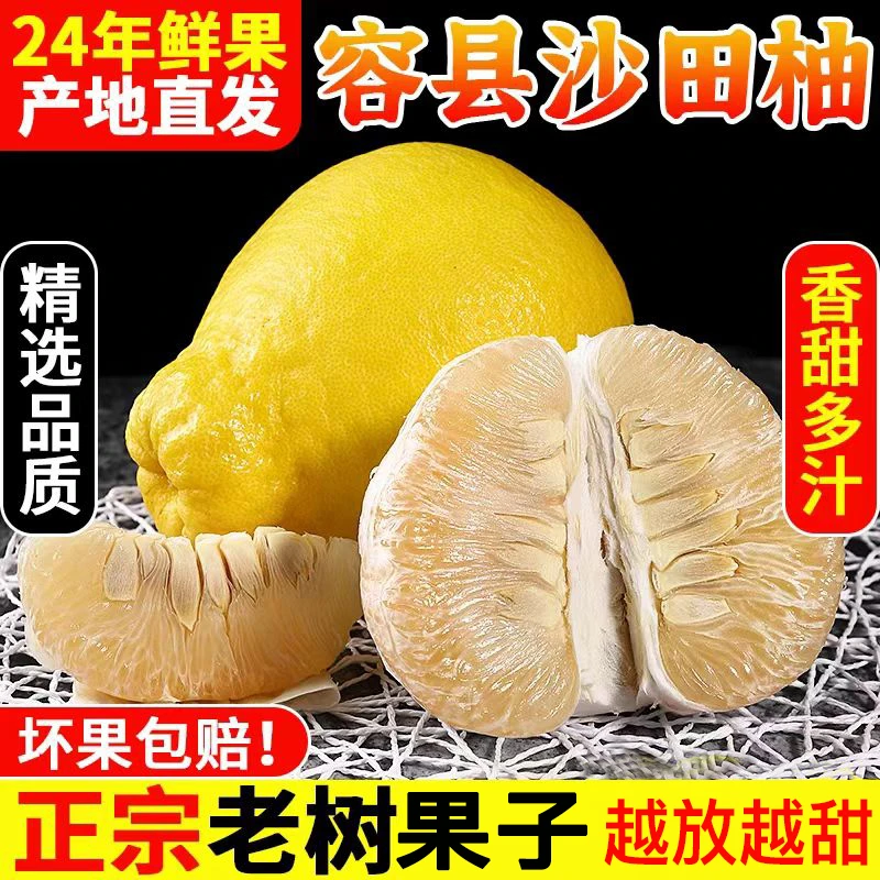 广西容县特产沙田柚2/9斤新鲜水果当季现摘蜜柚纯甜多汁[坏果包赔