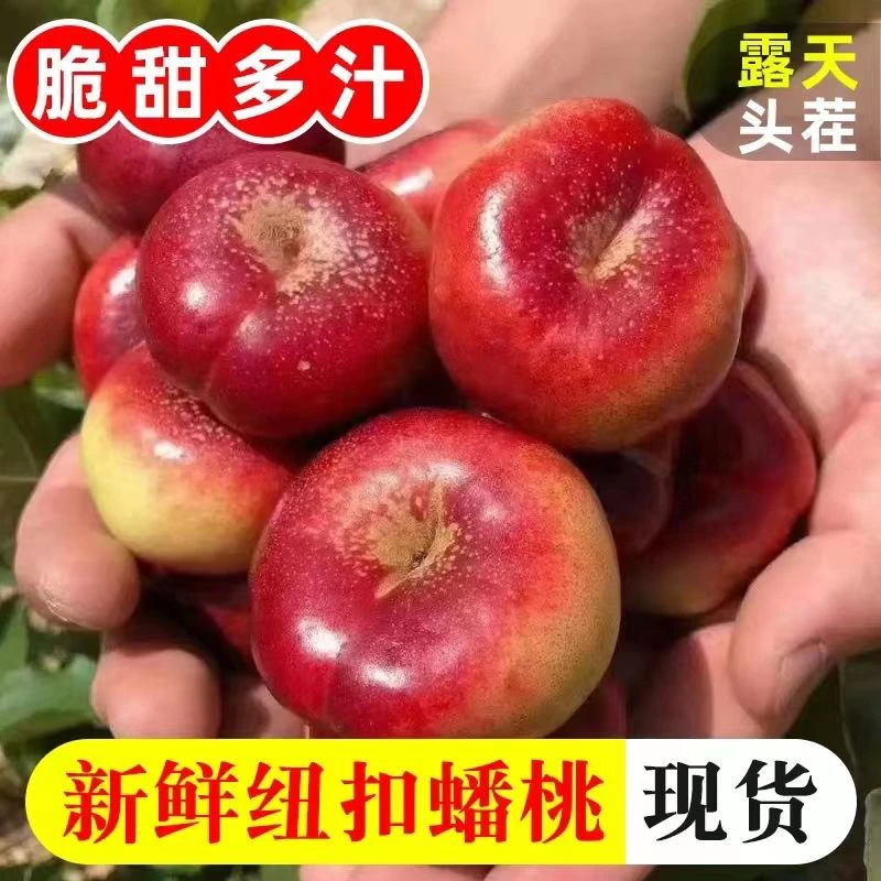 蒙阴纽扣蟠桃当季整箱孕妇水果蟠桃脆甜扁桃小桃子现摘现发油蟠桃