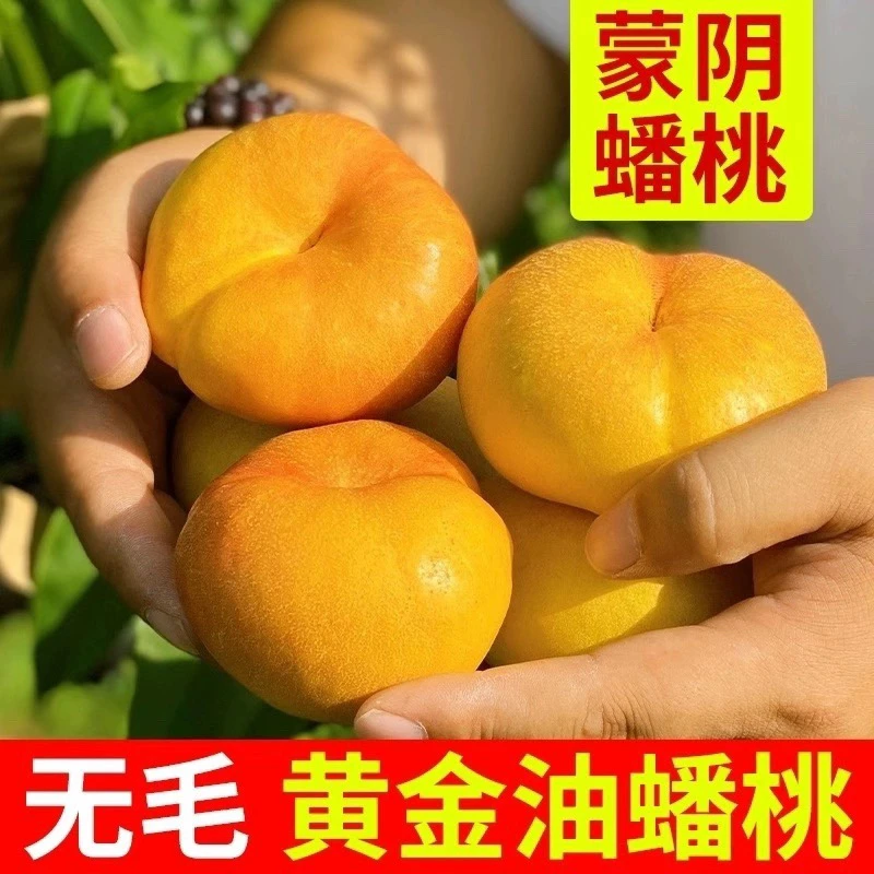 蒙阴彩虹黄油蟠桃黄蟠桃新鲜时令水果山东黄油桃孕妇整箱脆甜爆汁