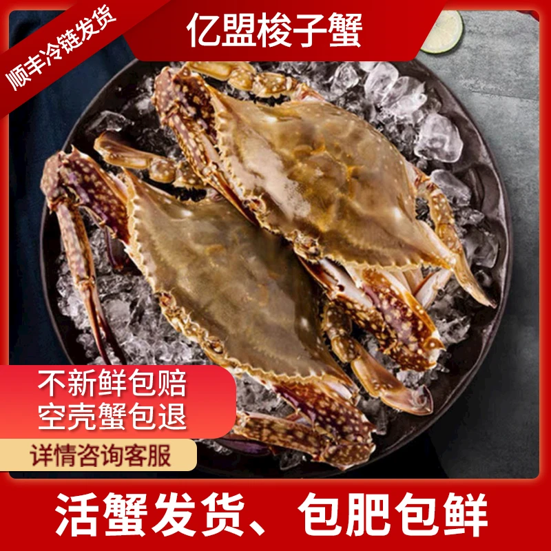 【保鲜不保活】  一点红母蟹 3到6两 2斤起拍5只左右不保全腿