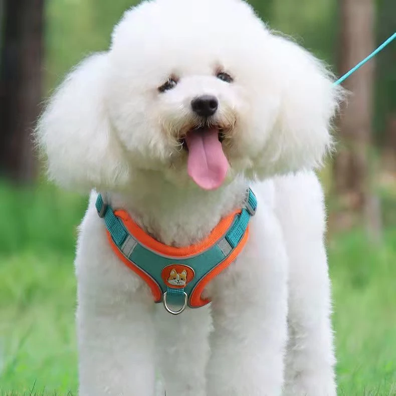 狗狗胸背带大中小型犬防爆冲边可调节背心反光网红遛狗牵引绳通用