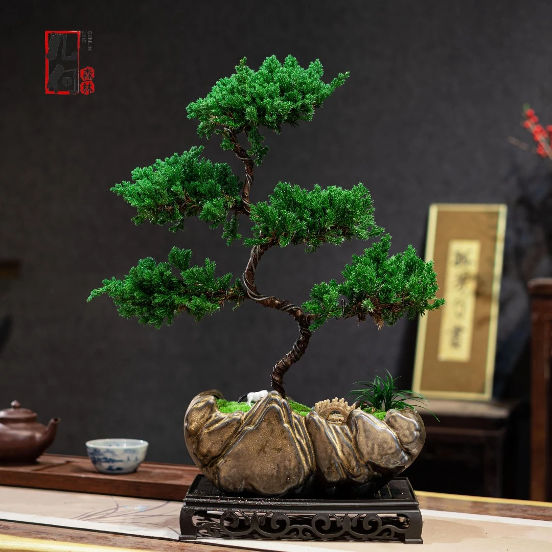 五层真柏高档绿植盆景植物迎客松盆景养不死室内罗汉松客厅精品