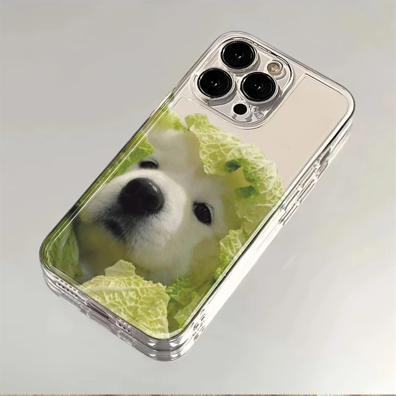 菜狗适用苹果14/华为/VIVO/OPPO/荣耀90/小米/三星防摔透明手机壳