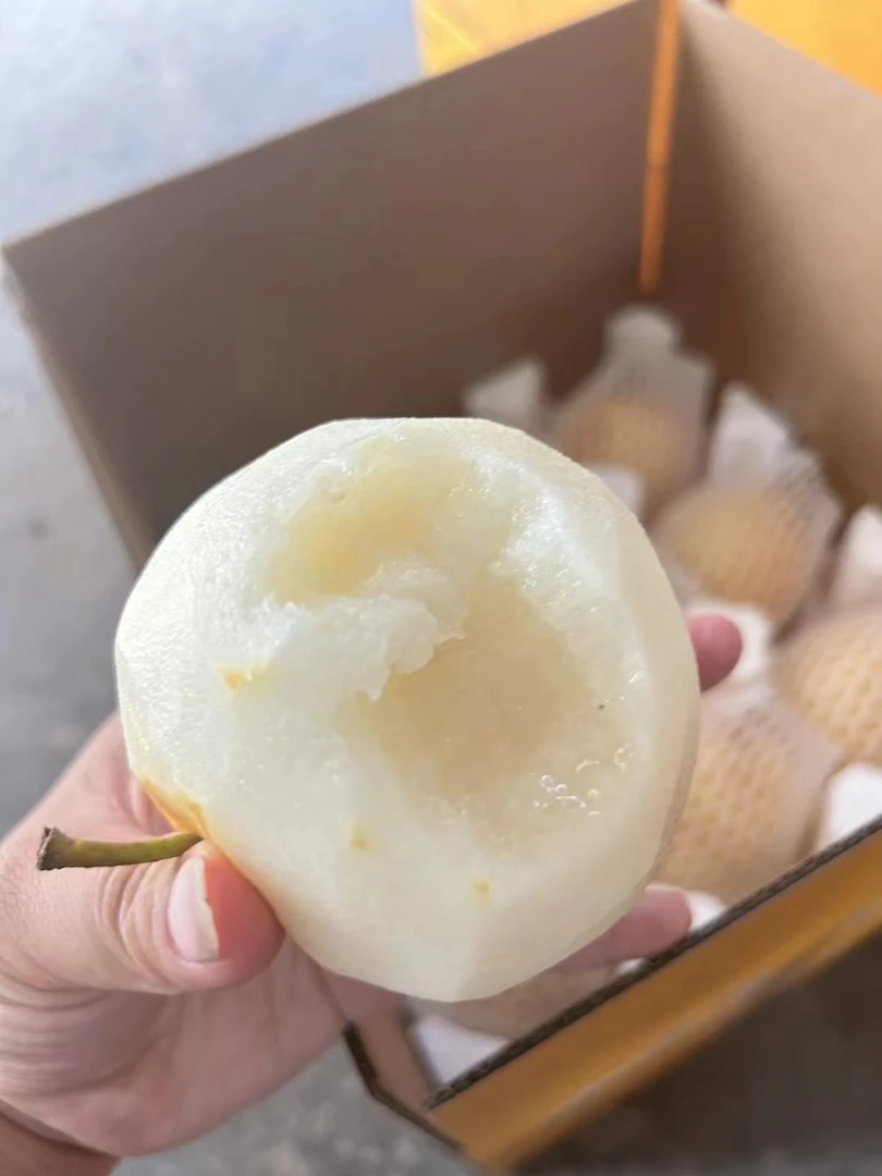 黄金蜜梨，9斤包邮，脆甜多汁