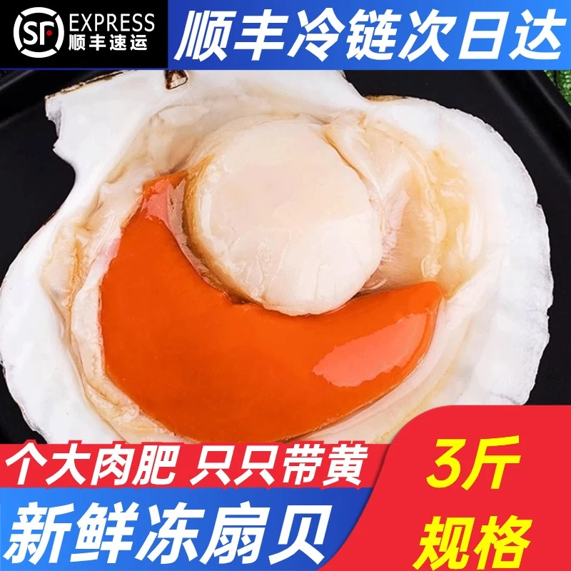 超大扇贝鲜活夏夷贝新鲜刺身3斤大连元贝蒜蓉粉丝扇贝王海鲜水产