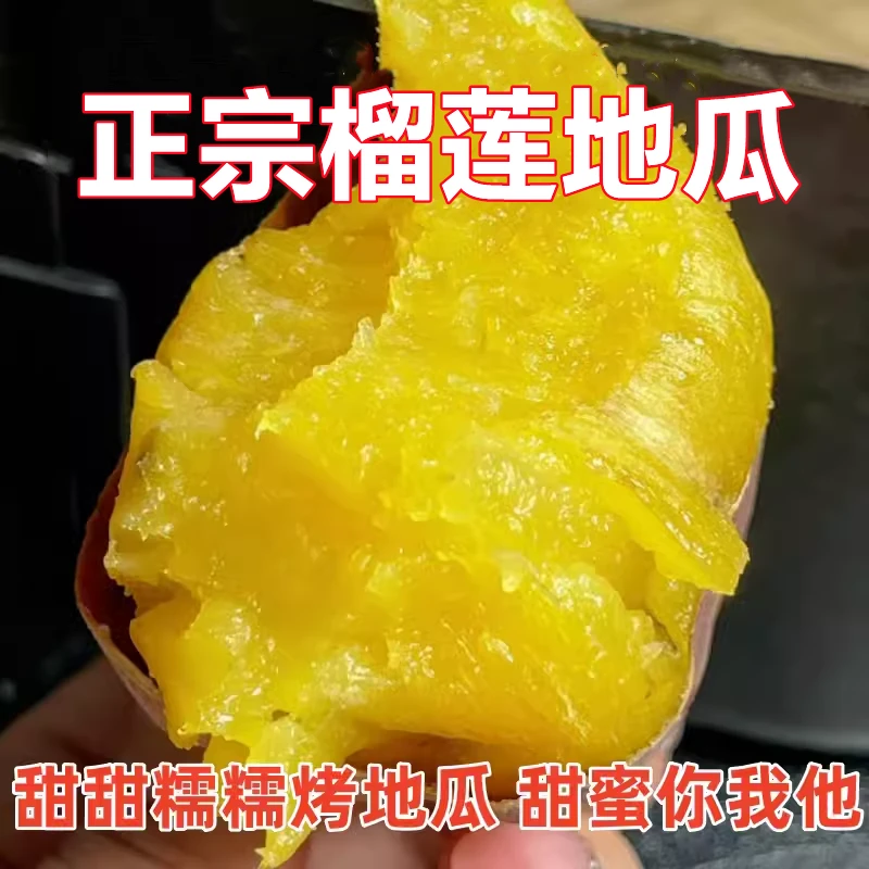 京东包邮【榴莲蜜薯】金瑶红瑶鸣门金时地瓜红薯新鲜现挖番薯5斤装
