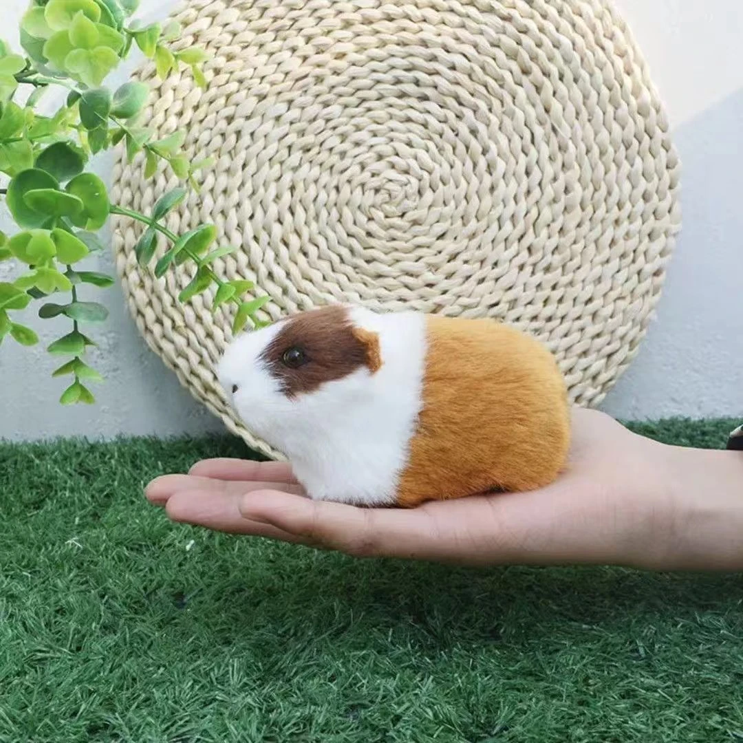 仓鼠金丝熊花枝鼠布偶