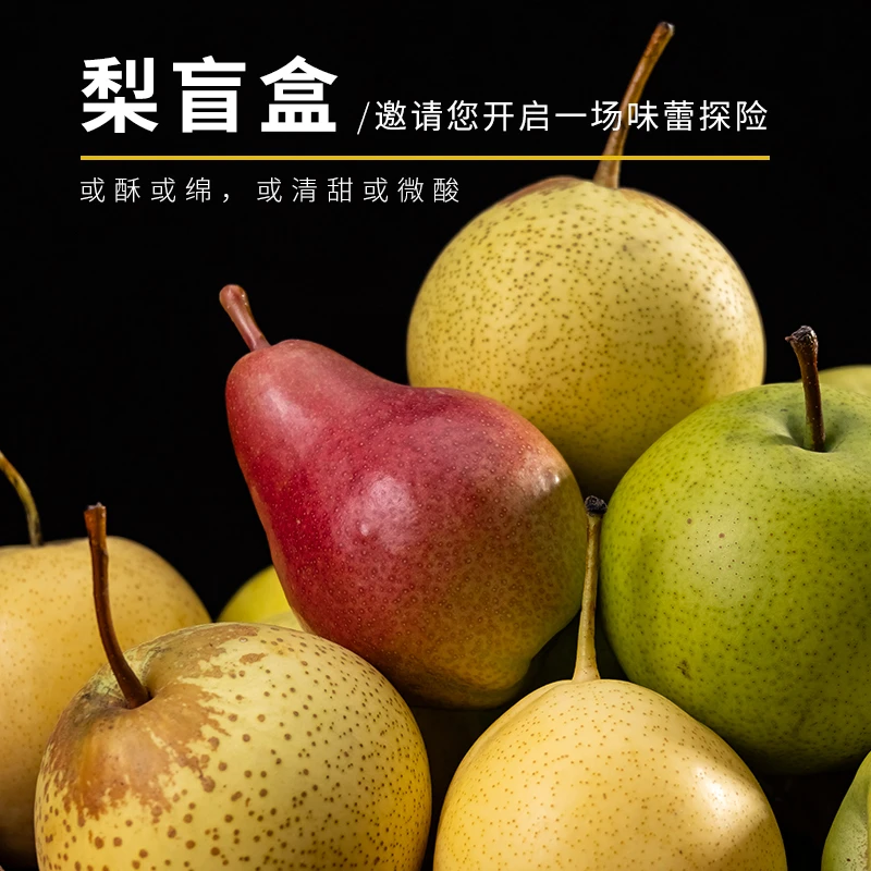 每天水果优选 山西梨果盲盒 每箱9颗随机发3-4个品种梨子整箱包邮