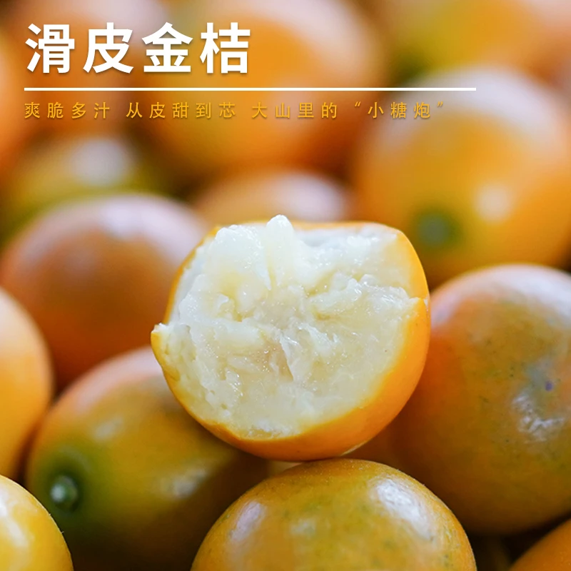 【直播专属】广西融安滑皮小金桔当季新鲜时令水果现摘现发顺丰