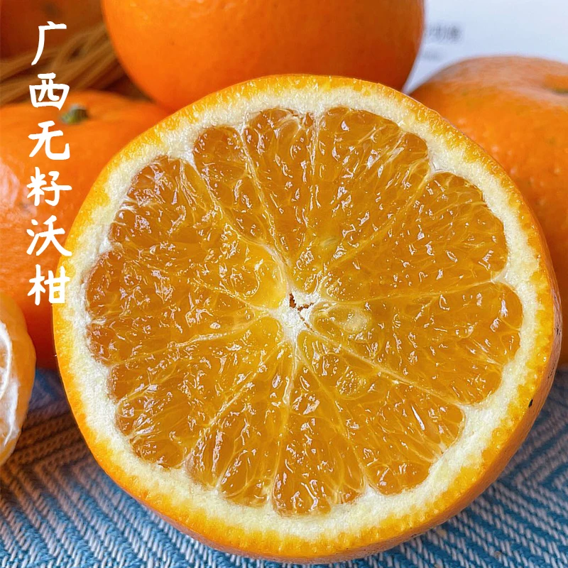 每天水果优选广西武鸣无籽沃柑皮薄肉甜脆嫩爽口香气浓郁整箱包邮