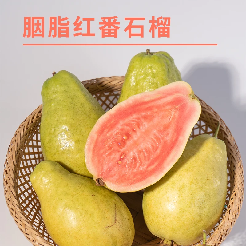 广东胭脂红番石榴海鸥岛当季新鲜芭乐清甜孕妇水果整箱包邮