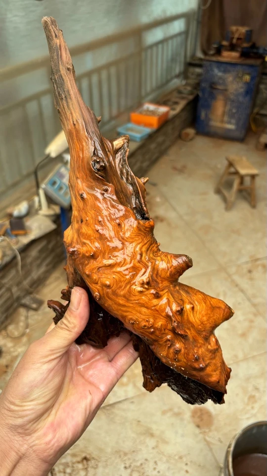 太行山崖柏毛料纹理坨乳钉菩萨云纹