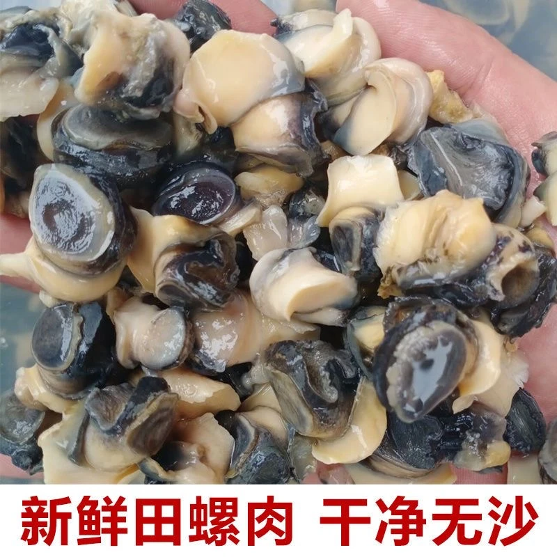 （福袋）田螺肉柔嫩紧实美味干净无沙新鲜