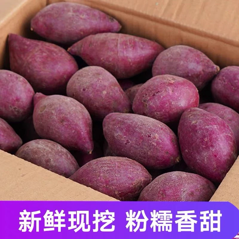 新鲜紫薯5斤农家自种紫罗兰紫薯现挖地瓜小番薯整箱