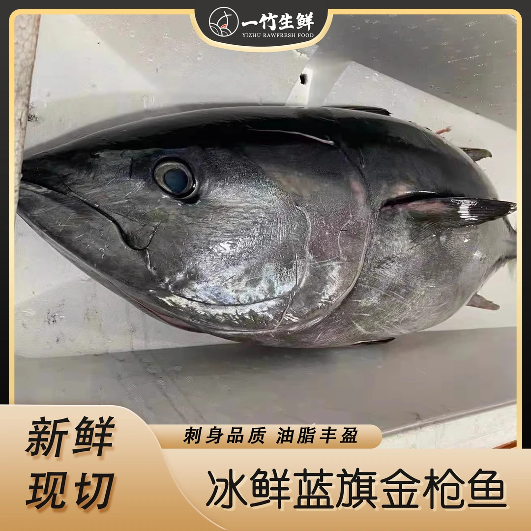 【一竹生鲜】冰鲜蓝旗金枪鱼现称顺丰冷链到家