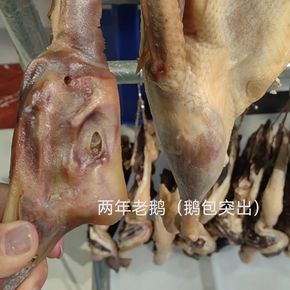 大别山商城县风干鹅腊鹅一只