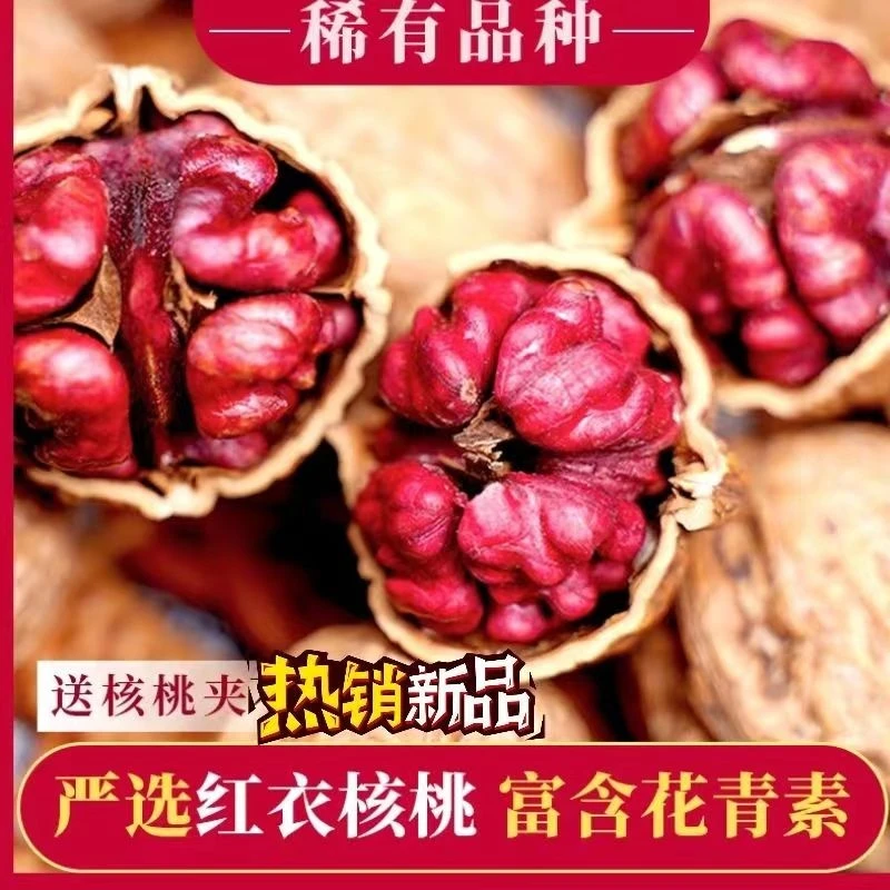 【红皮核桃】新疆稀有核桃富含花青素500g 1000g孕妇老人红衣红核桃