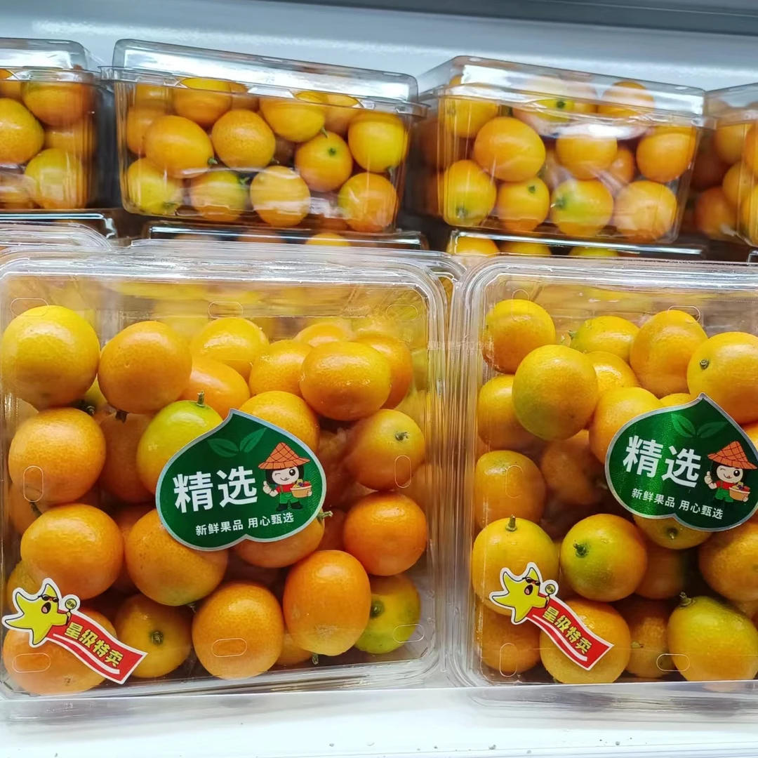 精品金桔一盒（2斤左右）广西广西壮族自治区
