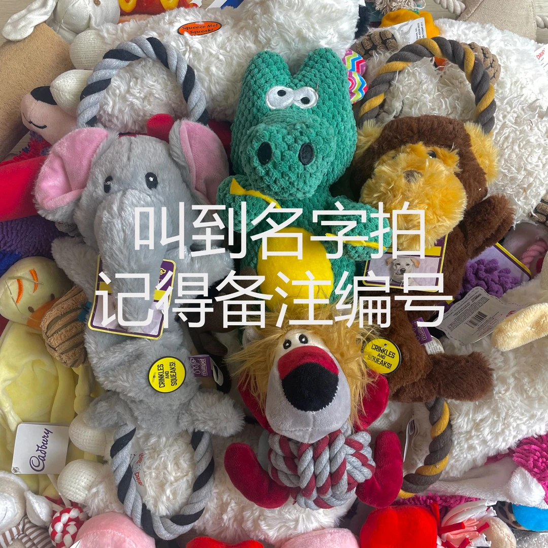 三只汪 宠物玩具组合 NO退NO换 默认微瑕 叫名去拍（记得备注编号）