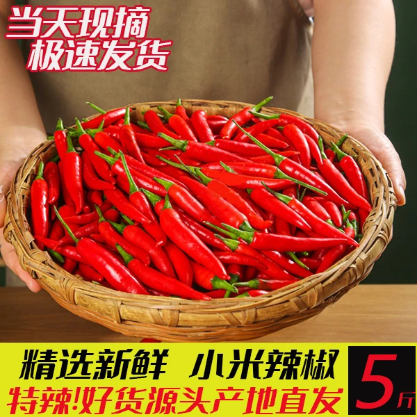 新鲜小米椒特辣小米辣鲜椒朝天椒红辣椒指天椒泡椒红辣椒产地直发