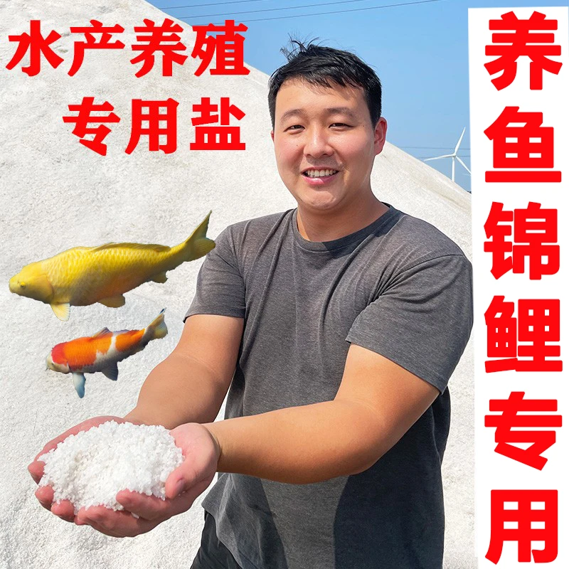 海盐养鱼缸锦鲤观赏鱼消毒杀菌对虾水产养殖鱼病防治天然日晒粗盐
